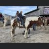 Annie Oakley - Image 4