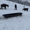 Poncho - Image 9