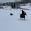 Poncho - Image 8