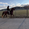 101 Reba - Image 3